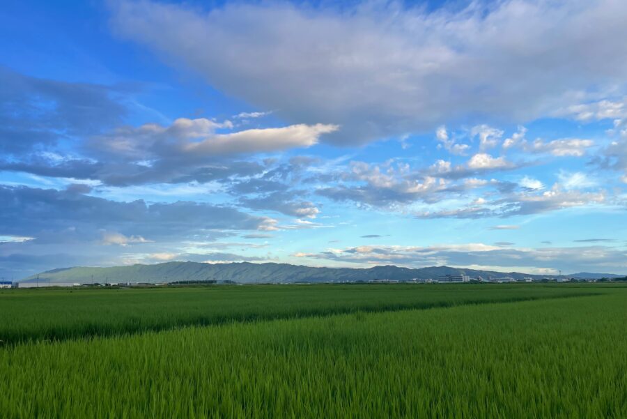 LINE_ALBUM_HP用素材写真_260807_23