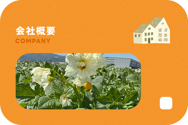 bnrhalf_company_bg_off