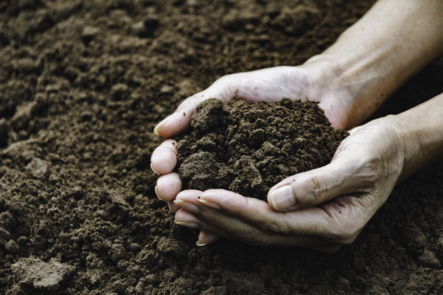 Hand of male holding soil in the hands for planting with copy sp